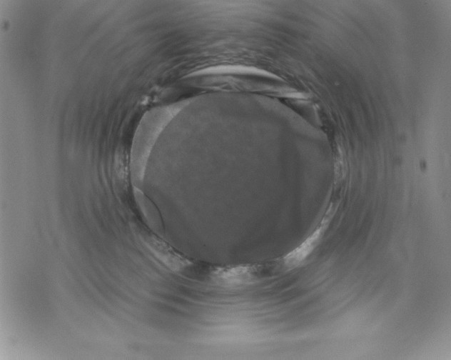 X0000071780186200607282247