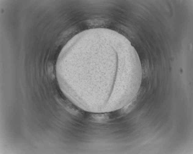 X0000071780187200607282247