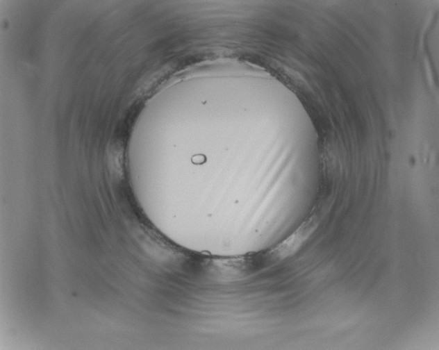 X0000071780188200607282247