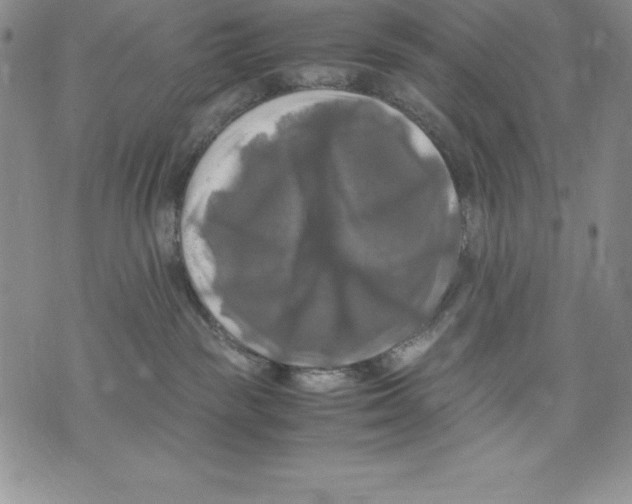 X0000071780189200607282247