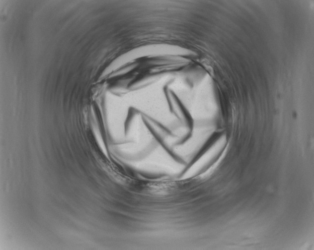 X0000071780190200607282247