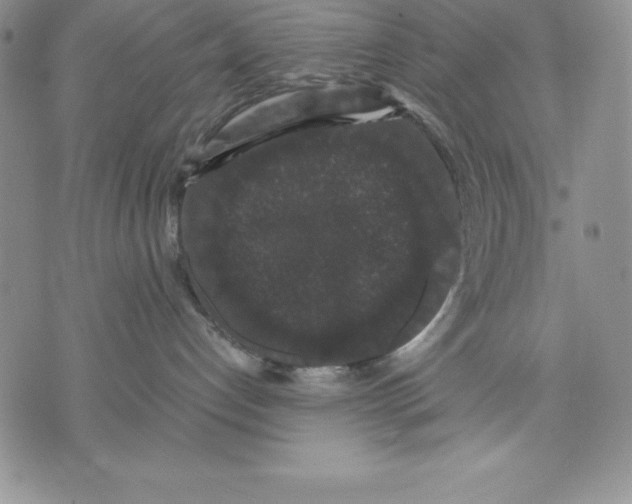 X0000071780192200607282247