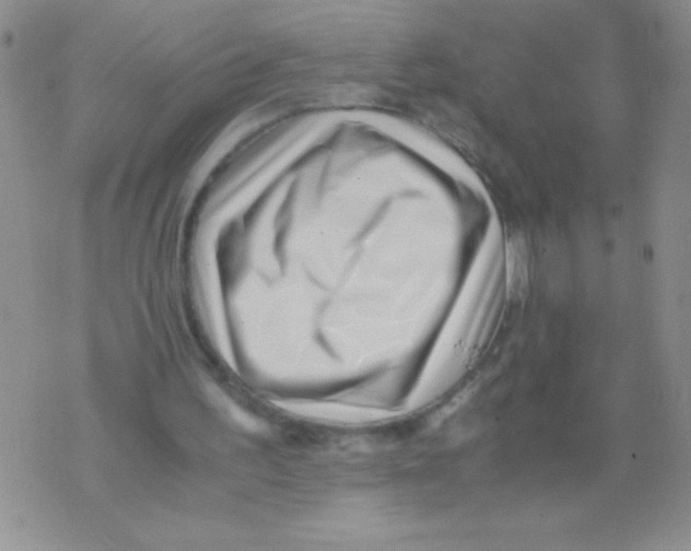 X0000071780195200607282246