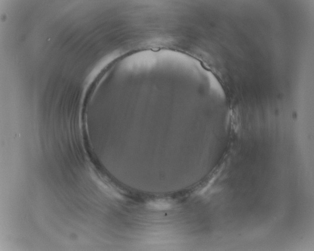 X0000071780196200607282246