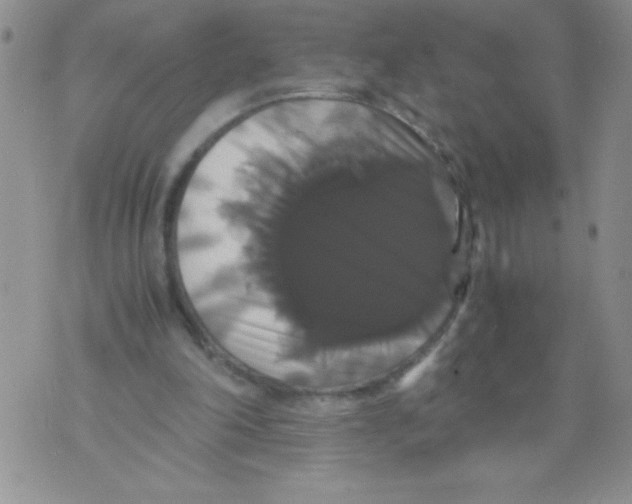 X0000071780198200607282246