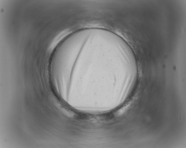 X0000071780199200607282246