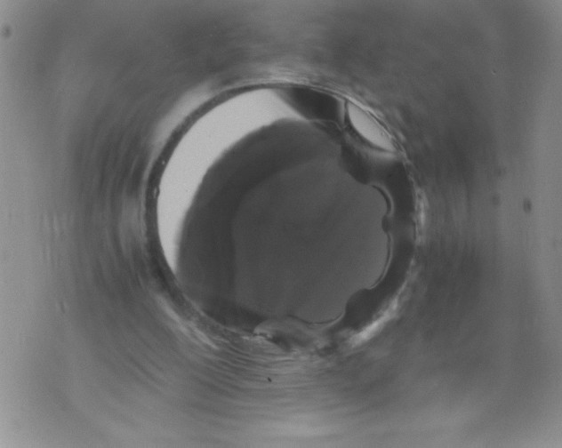 X0000071780200200607282246