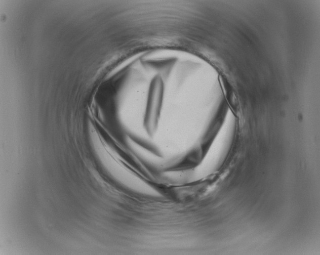 X0000071780201200607282246