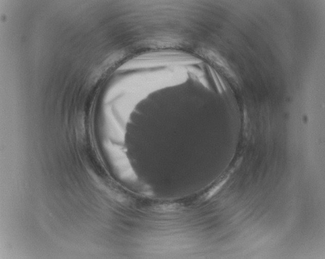 X0000071780202200607282246