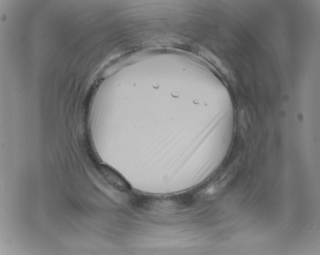 X0000071780203200607282246