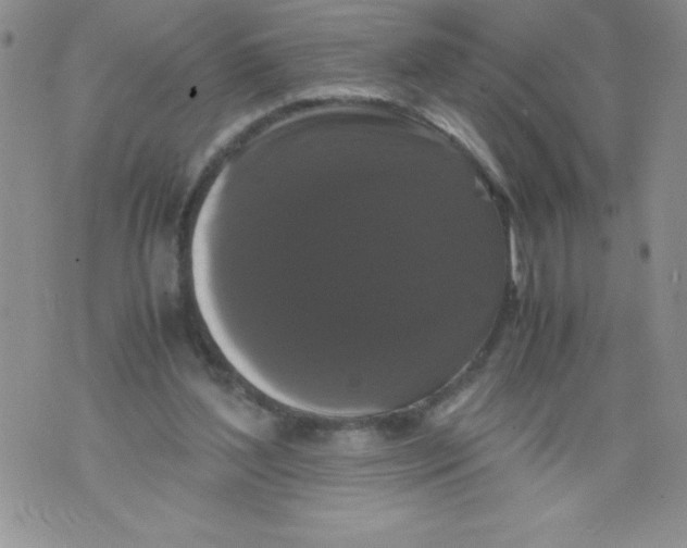 X0000071780204200607282246