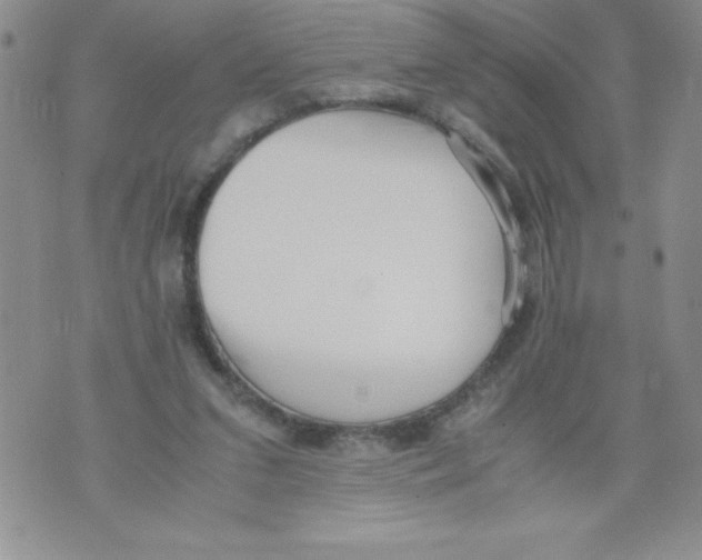 X0000071780207200607282246