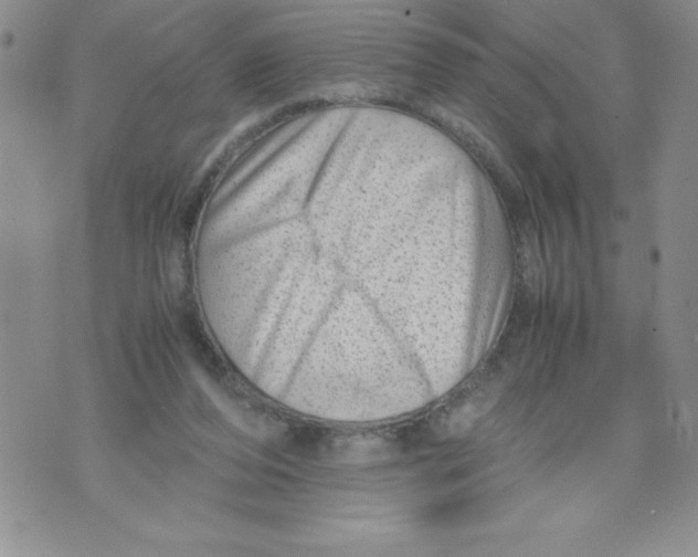 X0000071780208200607282246