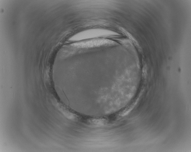 X0000071780209200607282246