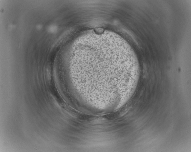 X0000071780210200607282246