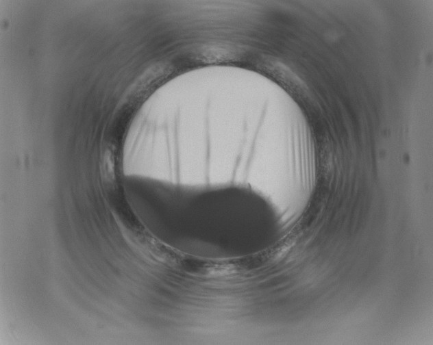 X0000071780214200607282246