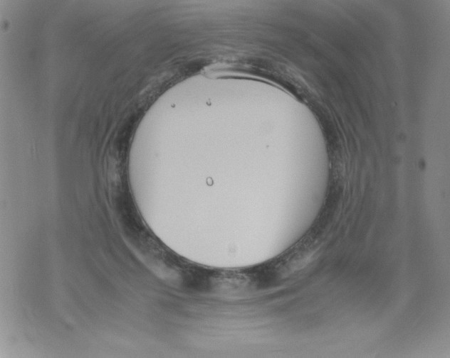 X0000071780215200607282246