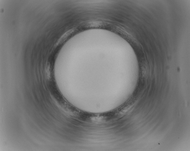 X0000071780216200607282246