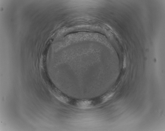 X0000071780217200607282246