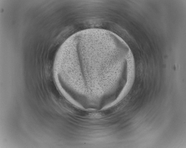 X0000071780218200607282246