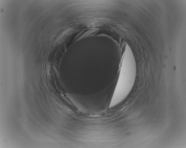 X0000071780219200607282246