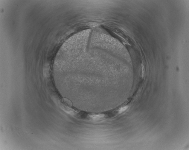 X0000071780221200607282246