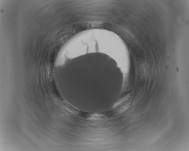 X0000071780222200607282246