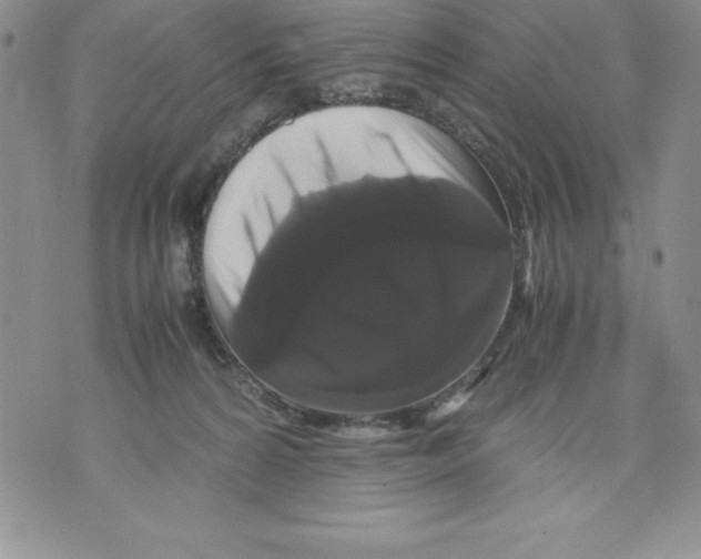 X0000071780224200607282246