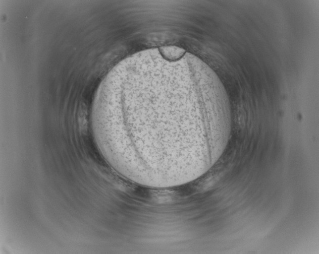 X0000071780226200607282246