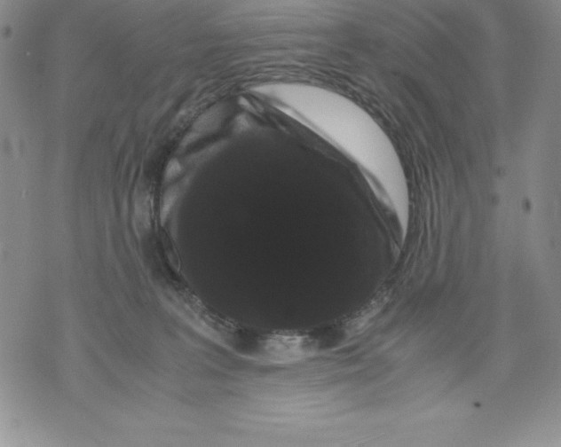 X0000071780227200607282246