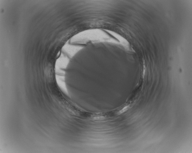 X0000071780228200607282246