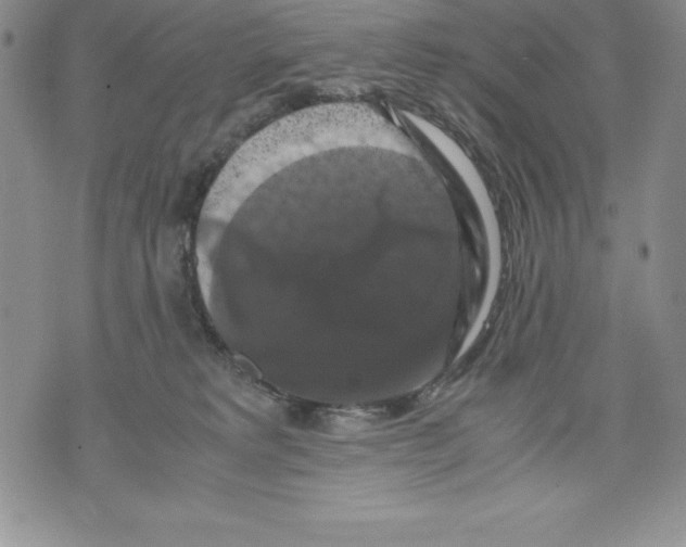 X0000071780229200607282246