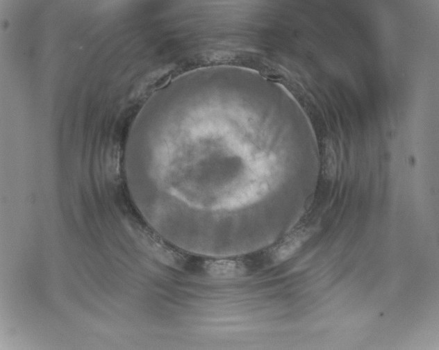 X0000071780230200607282246