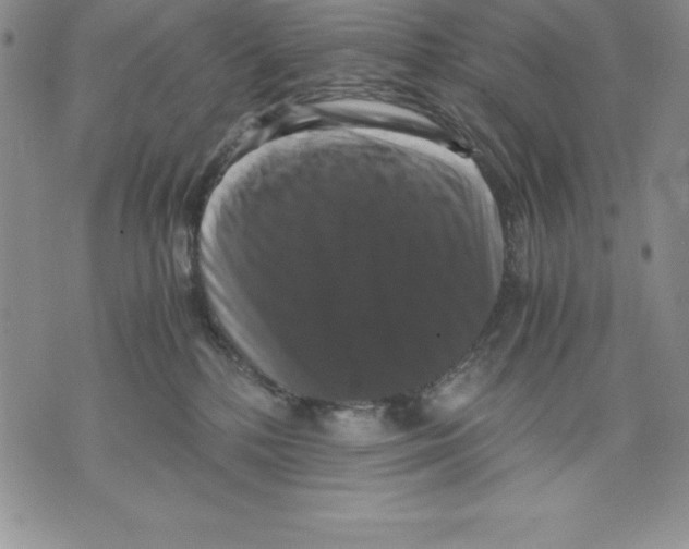 X0000071780232200607282246