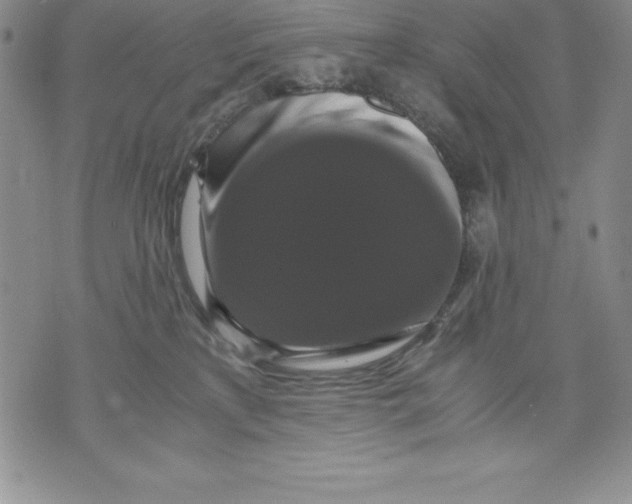 X0000071780233200607282246