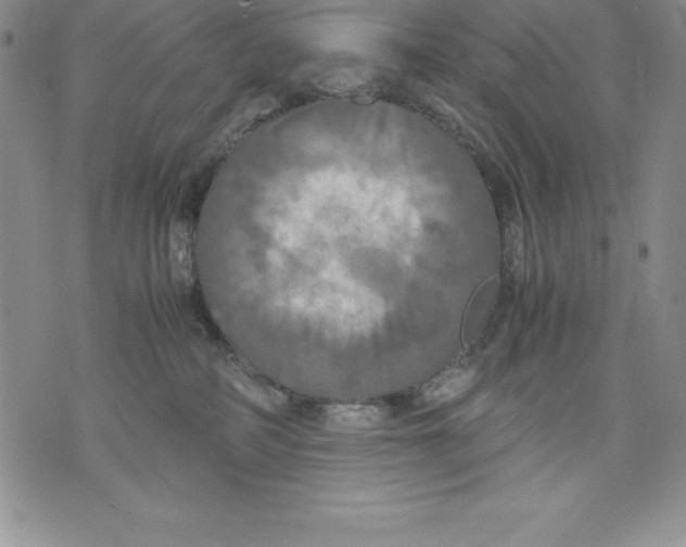 X0000071780234200607282246