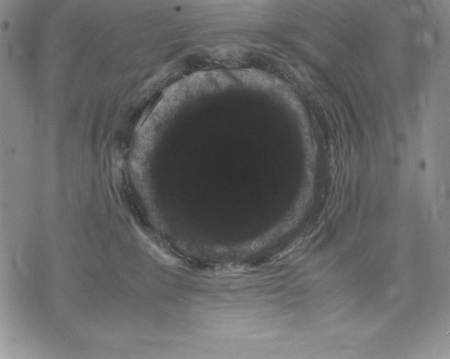 X0000071780235200607282246