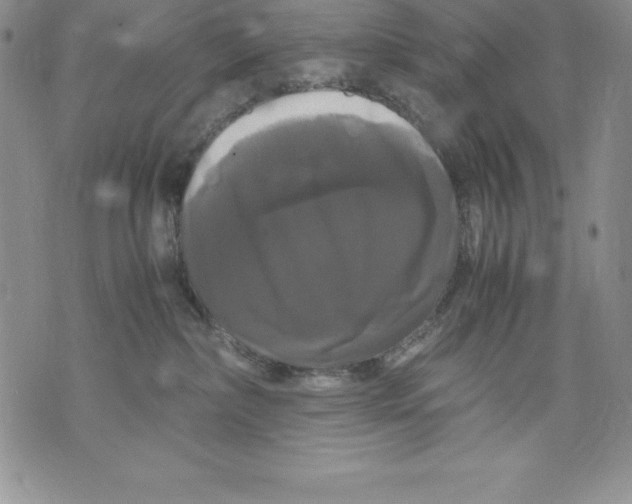 X0000071780236200607282246