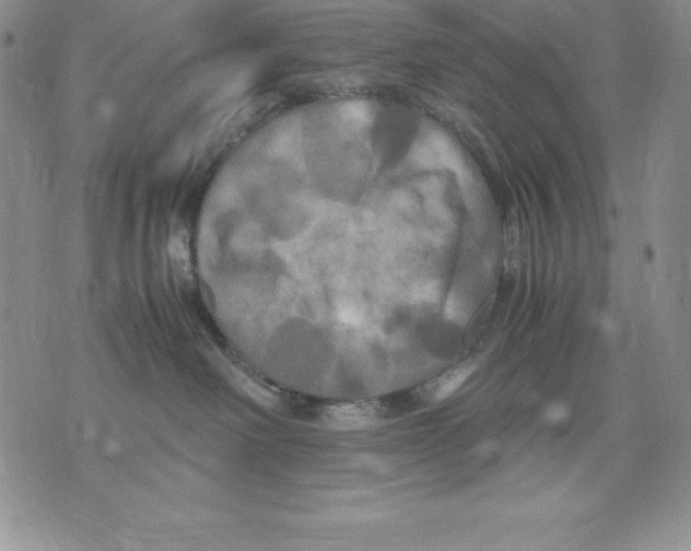 X0000071780238200607282246