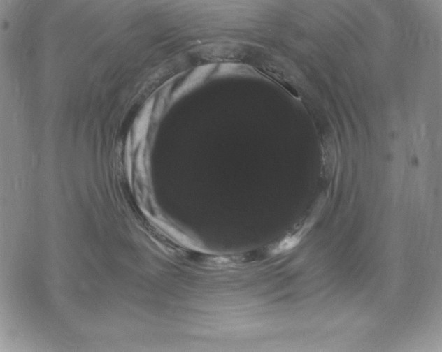 X0000071780239200607282246