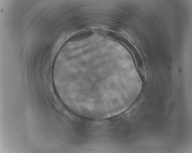 X0000071780241200607282245