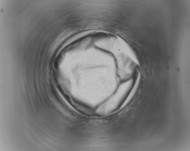 X0000071780242200607282245