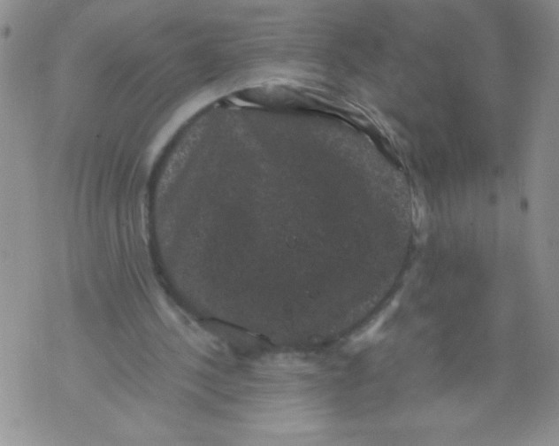 X0000071780244200607282245