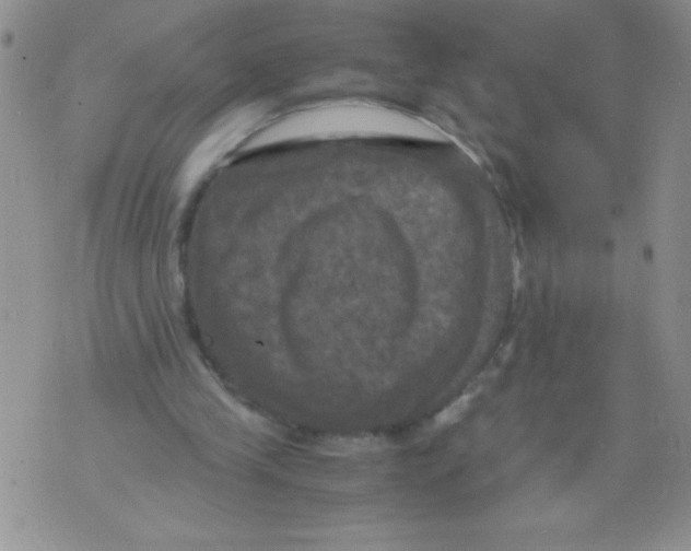 X0000071780245200607282245