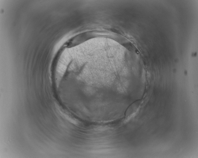 X0000071780246200607282245