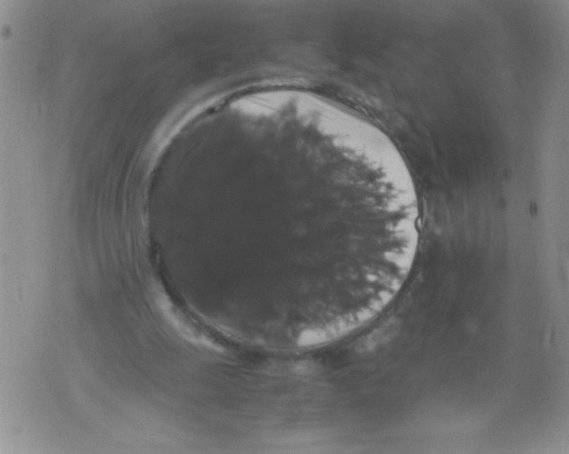 X0000071780247200607282245