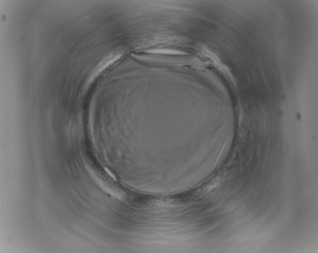 X0000071780250200607282245