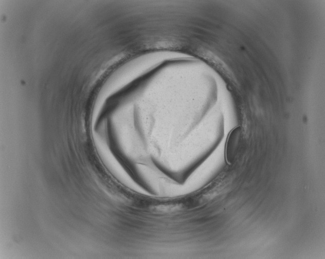 X0000071780251200607282245