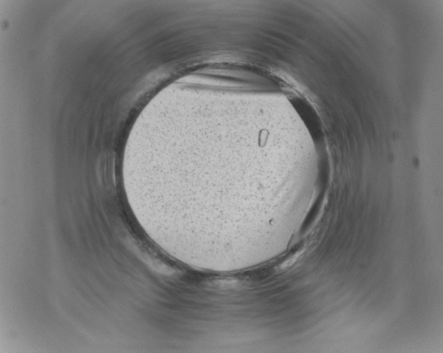 X0000071780253200607282245