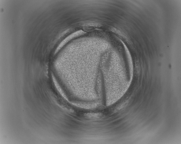 X0000071780255200607282245